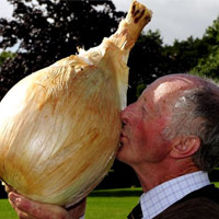 Phi thường - kỳ quặc - Ngày hội siêu rau củ tranh tài