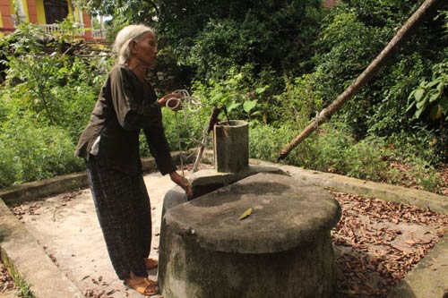 Bà 80 tuổi chăm 3 cháu mồ côi - 3