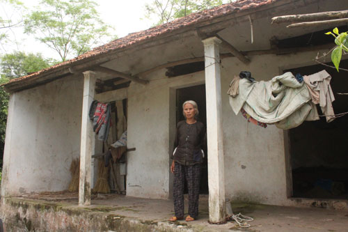 Bà 80 tuổi chăm 3 cháu mồ côi - 1