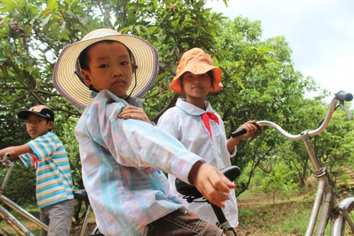 Nhói lòng cảnh bà cháu côi cút trên đồi - 3
