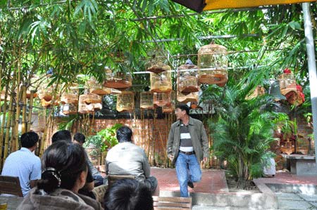 Người Đà Nẵng chơi "chim độc" - 2