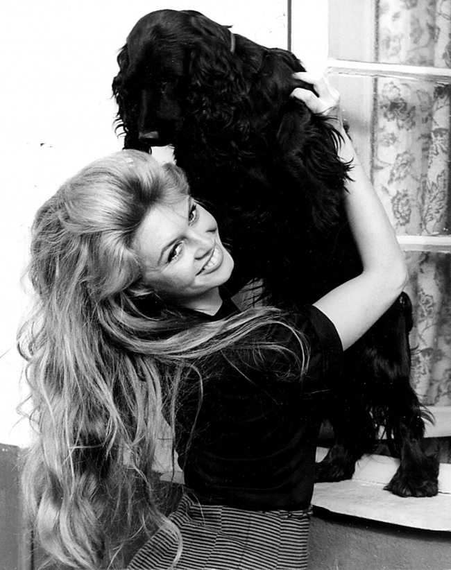 Bardot đã tuyên bố từ giã sự nghiệp trước ngày sinh nhật lần thứ 40. Bà chuyển sang ăn chay và thành lập quỹ Brigitte Bardot Foundation năm 1986 để bảo vệ động vật. 