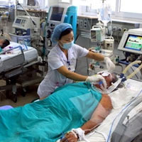 Tin tức trong ngày - Hà Nội: Tử vong do nhiễm liên cầu lợn