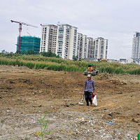 Tài chính - Bất động sản - Long đong như… Luật Đất đai