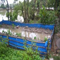 Thị trường - Tiêu dùng - Lươn nuôi trong nhà xuất sang Mỹ