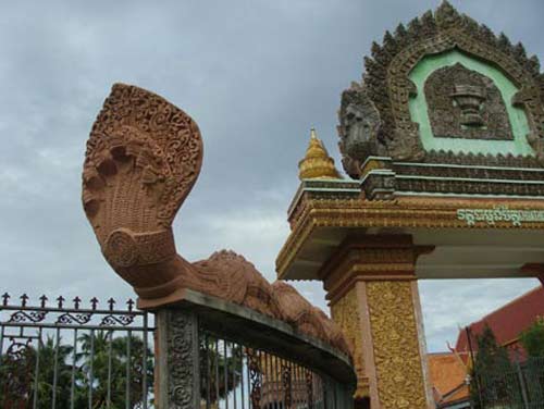 Đạo sĩ ẩn tu luyện võ diệt rắn hổ mây - 5