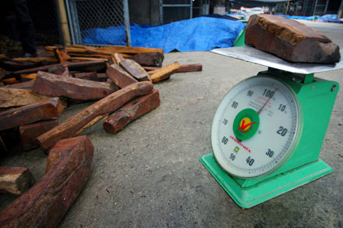 Cận cảnh chợ bán "vàng mun" ở Bắc Ninh - 3