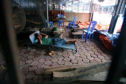 Cận cảnh chợ bán "vàng mun" ở Bắc Ninh - 4