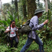 Tin tức trong ngày - Đường chữ qua rừng đói