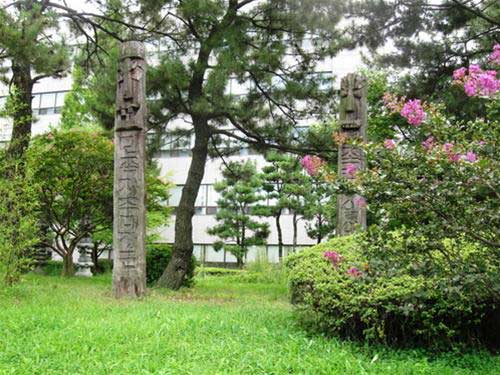 Ấn tượng Harubang Hàn Quốc - 3