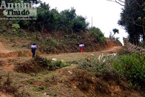 No đói nơi ruộng bậc thang được "phong hàm" - 2