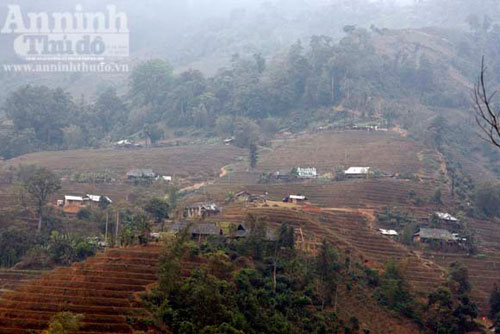 No đói nơi ruộng bậc thang được "phong hàm" - 3