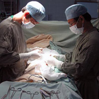 Sức khỏe đời sống - Cấp cứu bệnh nhân bị cắt đứt dương vật