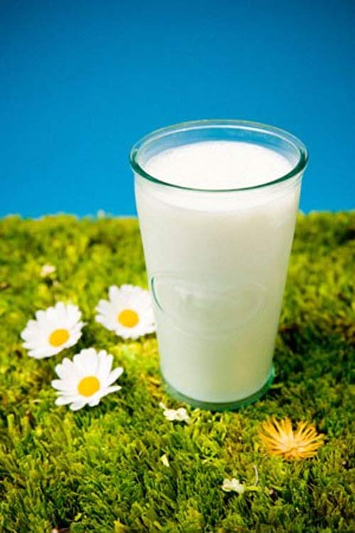 9 thực phẩm ăn mãi mà không sợ béo - 2