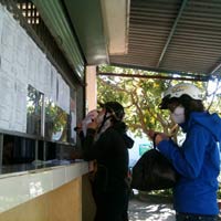 Giáo dục - du học - Tiền trường: Đủ kiểu lách để thu