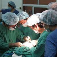 Sức khỏe đời sống - Cứu tinh cho người có vòng ngực quá khổ