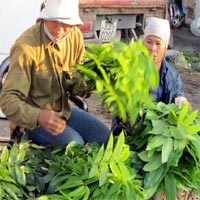 Thị trường - Tiêu dùng - Buôn không cần vốn: Kiếm 15 triệu/tháng
