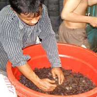 Tin tức trong ngày - Kinh dị bò khô giá... siêu rẻ!