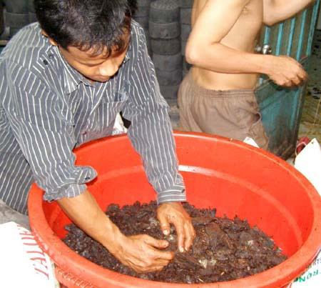 Kinh dị bò khô giá... siêu rẻ! - 5