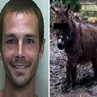 Phi thường - kỳ quặc - Kẻ bệnh hoạn "mây mưa" với lừa