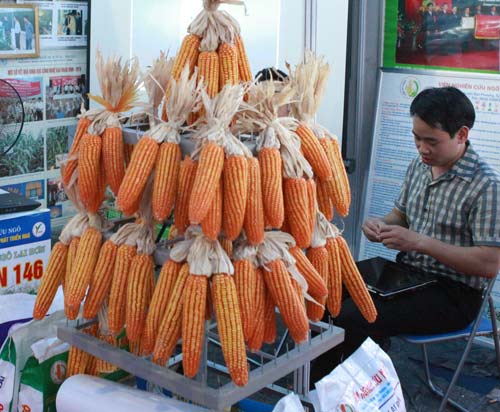 “Nhộn nhịp” Techmart 2012 - 12