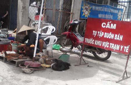 Lò mổ "siêu bẩn" mọc ngay cạnh... ủy ban xã - 9