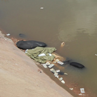 Pháp luật - Sát thủ nhuộm tóc đỏ