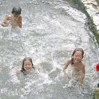 Sức khỏe đời sống - Amip ăn não người: Thực sự đáng sợ?