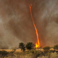 Tin tức trong ngày - Hình ảnh ma quái về lốc xoáy lửa ở Úc