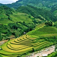 Du lịch - Mù Cang Chải vào thu