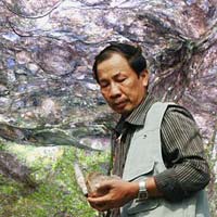 Tin tức trong ngày - Những "bí ẩn" về núi lửa ở Việt Nam