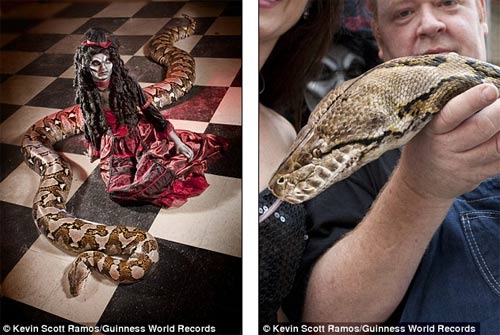 Rắn dài 7,62m lập kỷ lục thế giới - 2