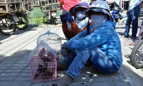 Chợ "độc" ở Đà Thành: Chợ bán chim - 1