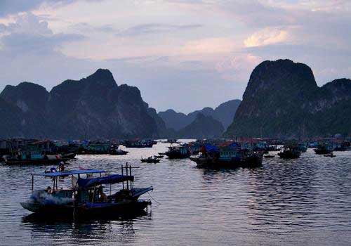 Đến Hạ Long ngắm kỳ quan thế giới - 4