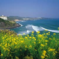 Du lịch - Hàn Quốc: Điểm hẹn mùa trăng mật