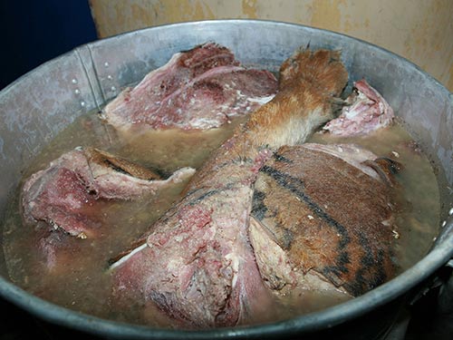 Phá đường dây buôn hổ liên tỉnh - 2