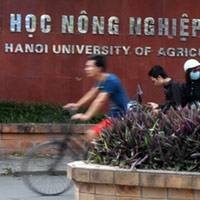 Giáo dục - du học - Nâng điểm cho hàng loạt học viên cao học