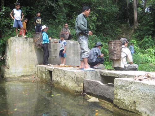 Phóng sự ảnh: Cả thôn chống "cướp rừng" - 10