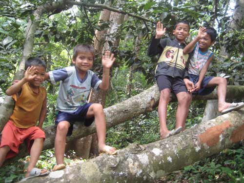 Phóng sự ảnh: Cả thôn chống "cướp rừng" - 14