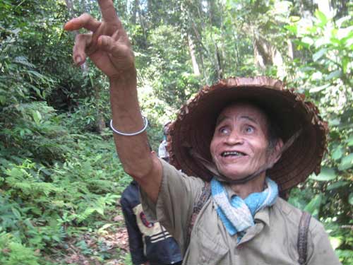 Phóng sự ảnh: Cả thôn chống "cướp rừng" - 15