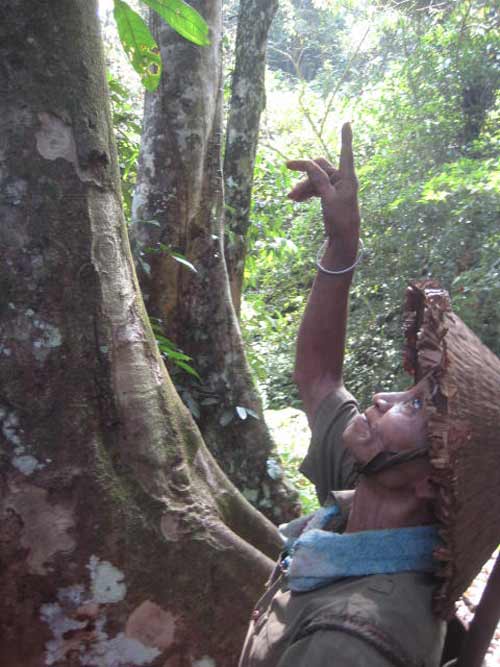 Phóng sự ảnh: Cả thôn chống "cướp rừng" - 6