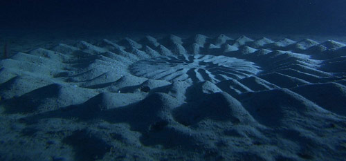 "Vòng tròn bí ẩn" dưới đáy biển - 1