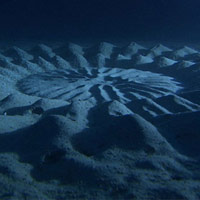 Phi thường - kỳ quặc - "Vòng tròn bí ẩn" dưới đáy biển