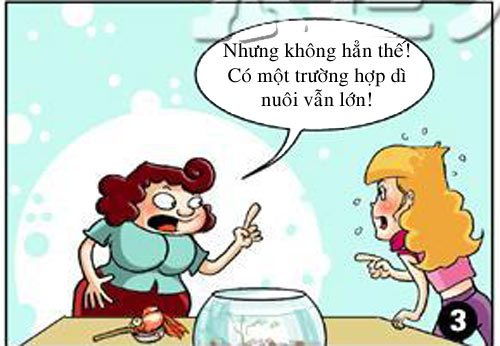 Nuôi con gì dễ nhất? - 7