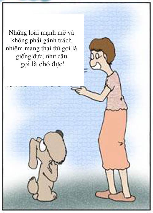 Nội y nào mốt nhất? - 5