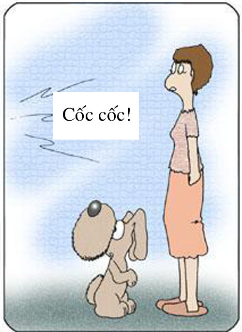 Nội y nào mốt nhất? - 6