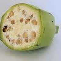 Sức khỏe đời sống - Thuốc quý từ cây chuối hột