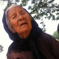 Tin tức trong ngày - Sự thực về bà cụ cơ khổ ở hồ Thiền Quang