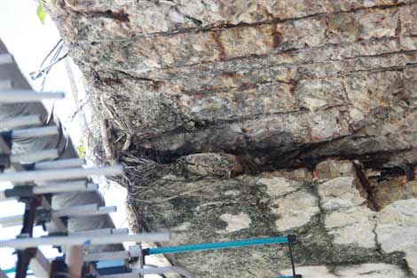 Rùng mình sống trong 'cụ' chung cư chờ sập - 10
