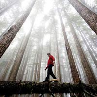 Du lịch - Thăm những "Thiên đường trên mặt đất"